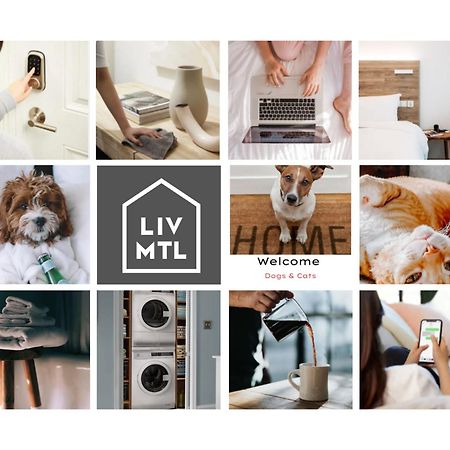 Liv Mtl Urban Aparthotel Montréal Eksteriør bilde